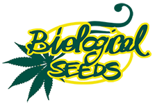 Biological Seeds