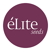 éLite Seeds