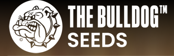 The Bulldog Seeds