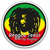 Reggae Seeds