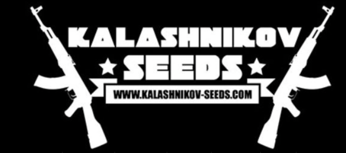 Kalashnikov Seeds