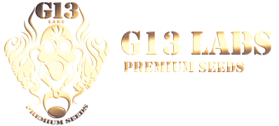 G13 Labs