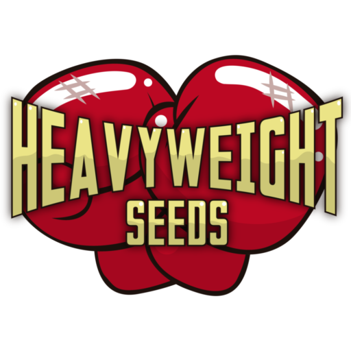 Heavyweight Seeds