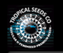 Tropical Seeds Company