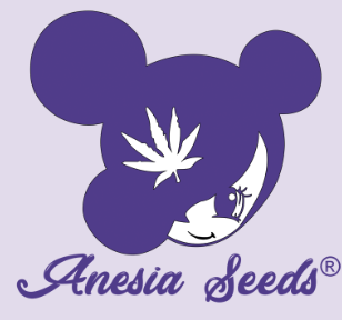 Anesia Seeds