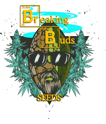 Breaking Buds Seeds