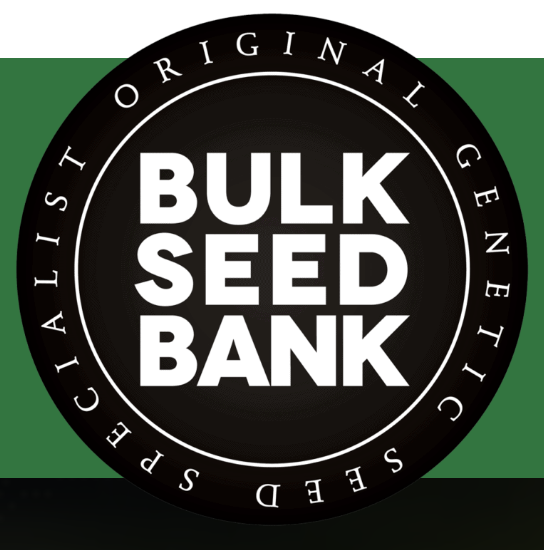 Bulk Seeds Bank