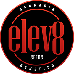 Elev8 Seeds