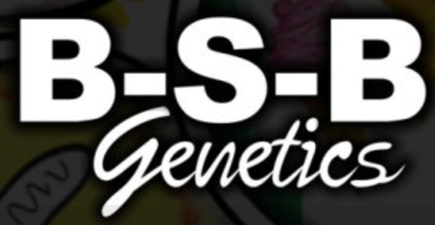 B-S-B Genetics