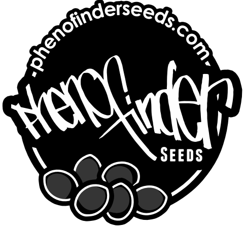 Pheno Finder Seeds