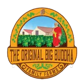 Original Big Buddha Family Farms