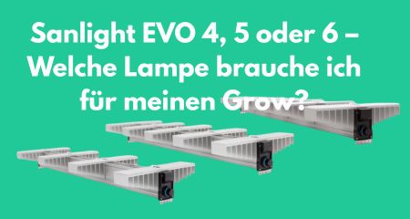 Sanlight EVO 4, 5 oder 6 – Welche Lampe brauche ich für meinen Grow?