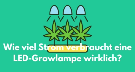 Wie viel Strom verbraucht eine LED-Growlampe wirklich?