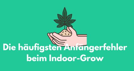 Die häufigsten Anfängerfehler beim Indoor-Grow – und wie man sie vermeidet