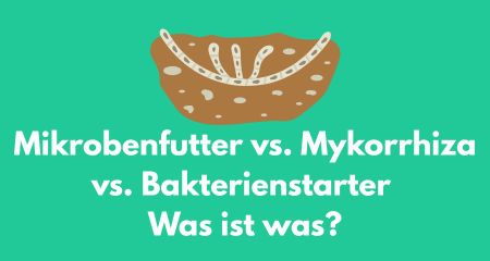 Mikrobenfutter vs. Mykorrhiza vs. Bakterienstarter – was ist was?