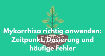 Mykorrhiza richtig anwenden: Zeitpunkt, Dosierung und häufige Fehler