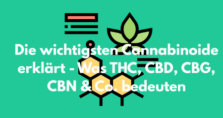 Die wichtigsten Cannabinoide erklärt - Was THC, CBD, CBG, CBN & Co. bedeuten