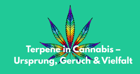 Terpene in Cannabis – Ursprung, Geruch & Vielfalt