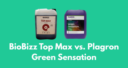 BioBizz Top Max vs. Plagron Green Sensation