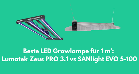 Beste LED Growlampe für 1 m²: Lumatek Zeus PRO 3.1 vs SANlight EVO 5-100