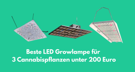 Beste LED Growlampe für 3 Cannabispflanzen unter 200 Euro – Welche lohnt sich wirklich?