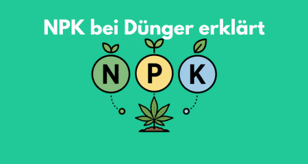 NPK bei Dünger erklärt: Bedeutung von N, P und K