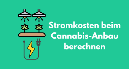 Stromkosten beim Cannabis-Anbau berechnen