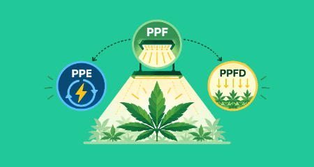 PPF, PPE und PPFD bei Growlampen: Was ist der Unterschied?