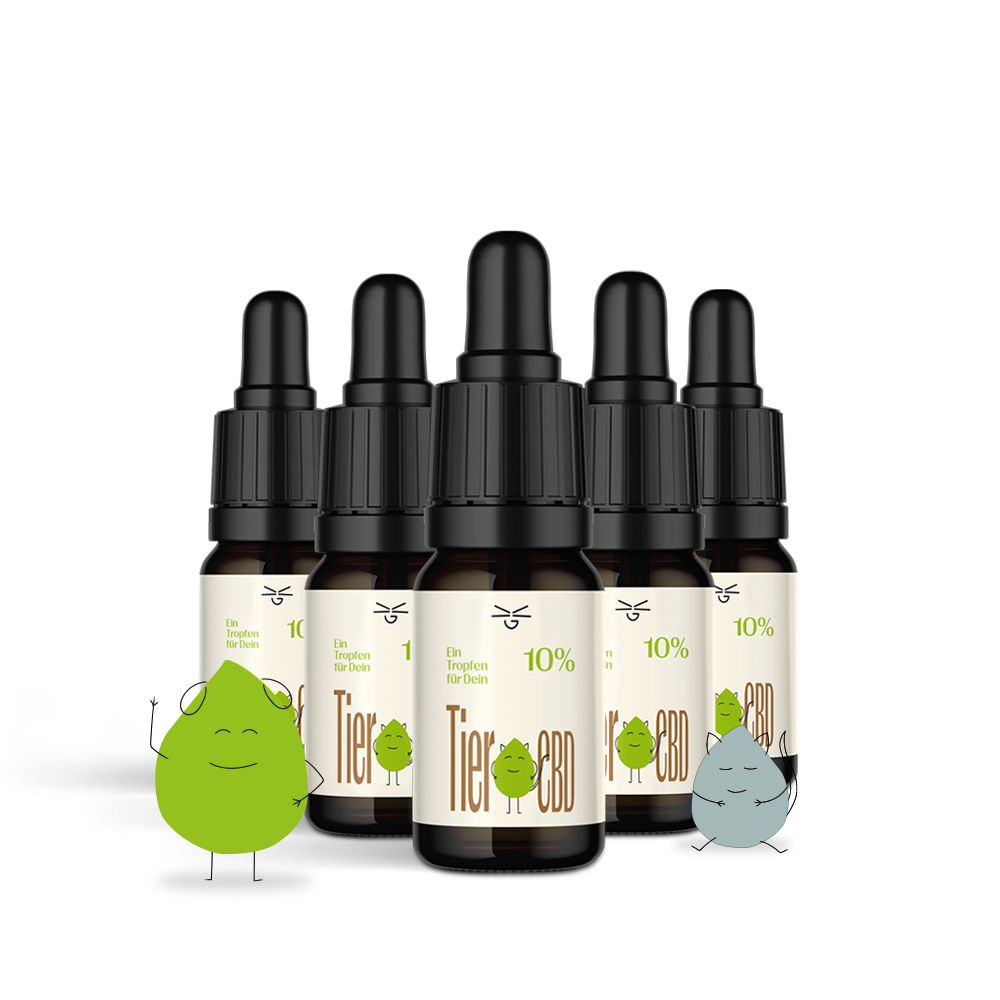 CBD Öl Tiere Isolat 10%