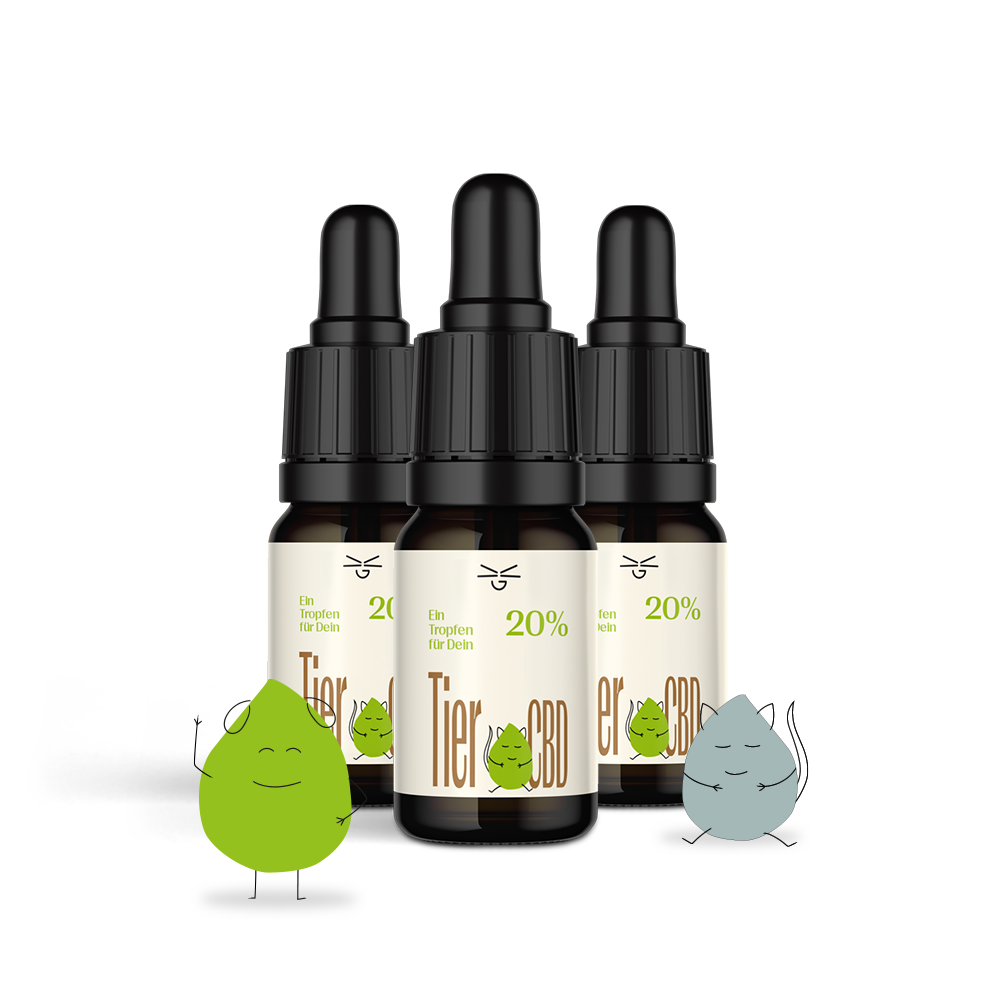 CBD Öl Tiere Isolat 20%