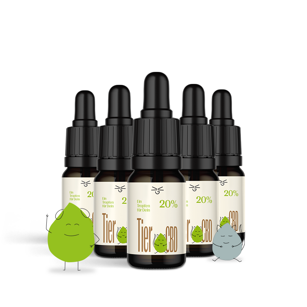 CBD Öl Tiere Isolat 20%