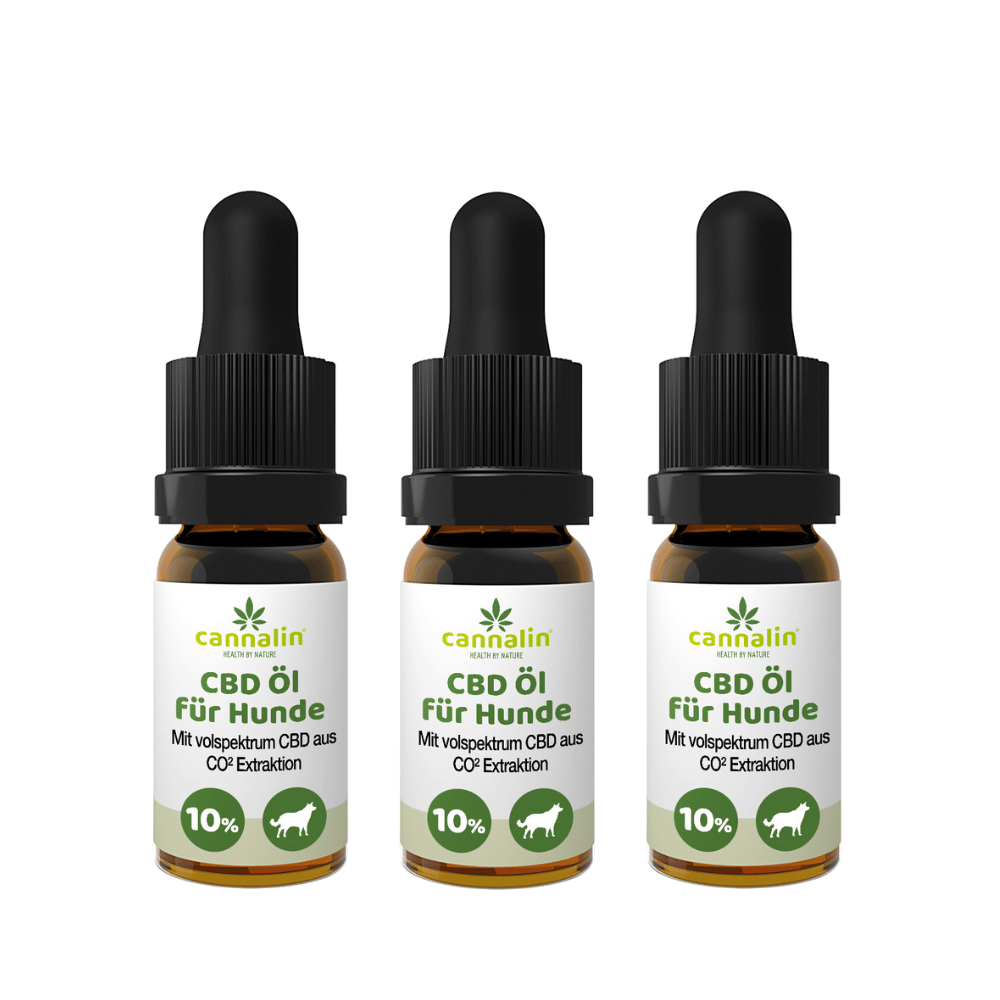 CBD Öl für Hunde mit Lachsöl 10% 10ml | 3 zum Preis von 2