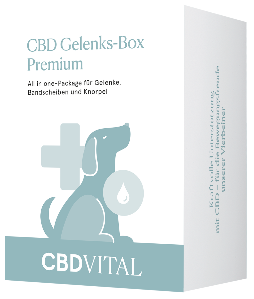 CBD Gelenks-Box Premium