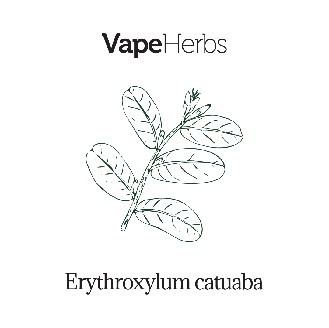 VapeHerbs – Catuaba 50g