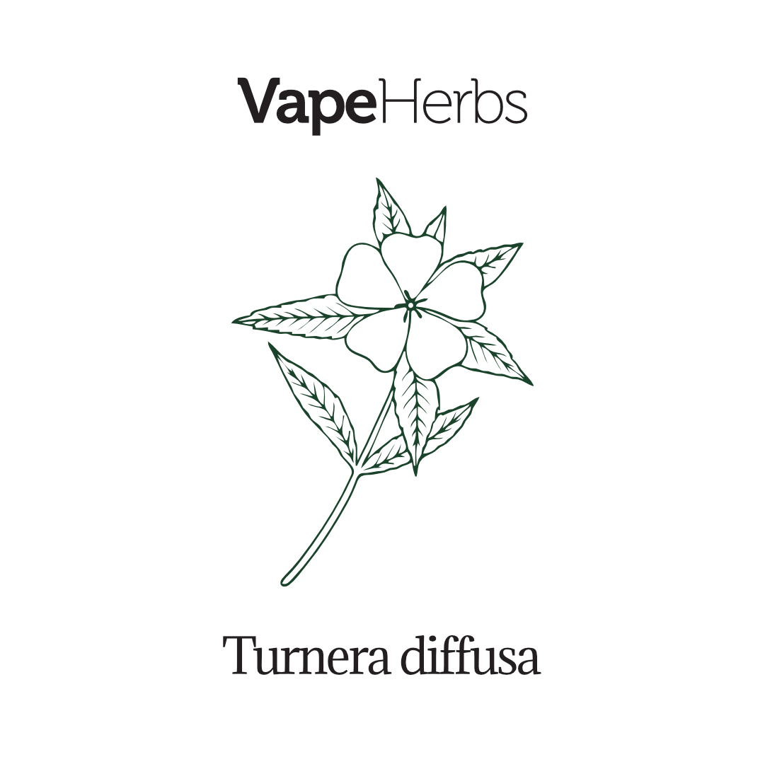 VapeHerbs – Damiana 50g