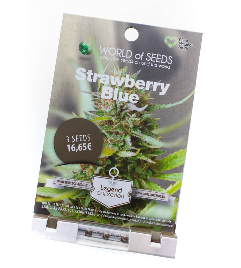 Strawberry Blue - World of Seeds