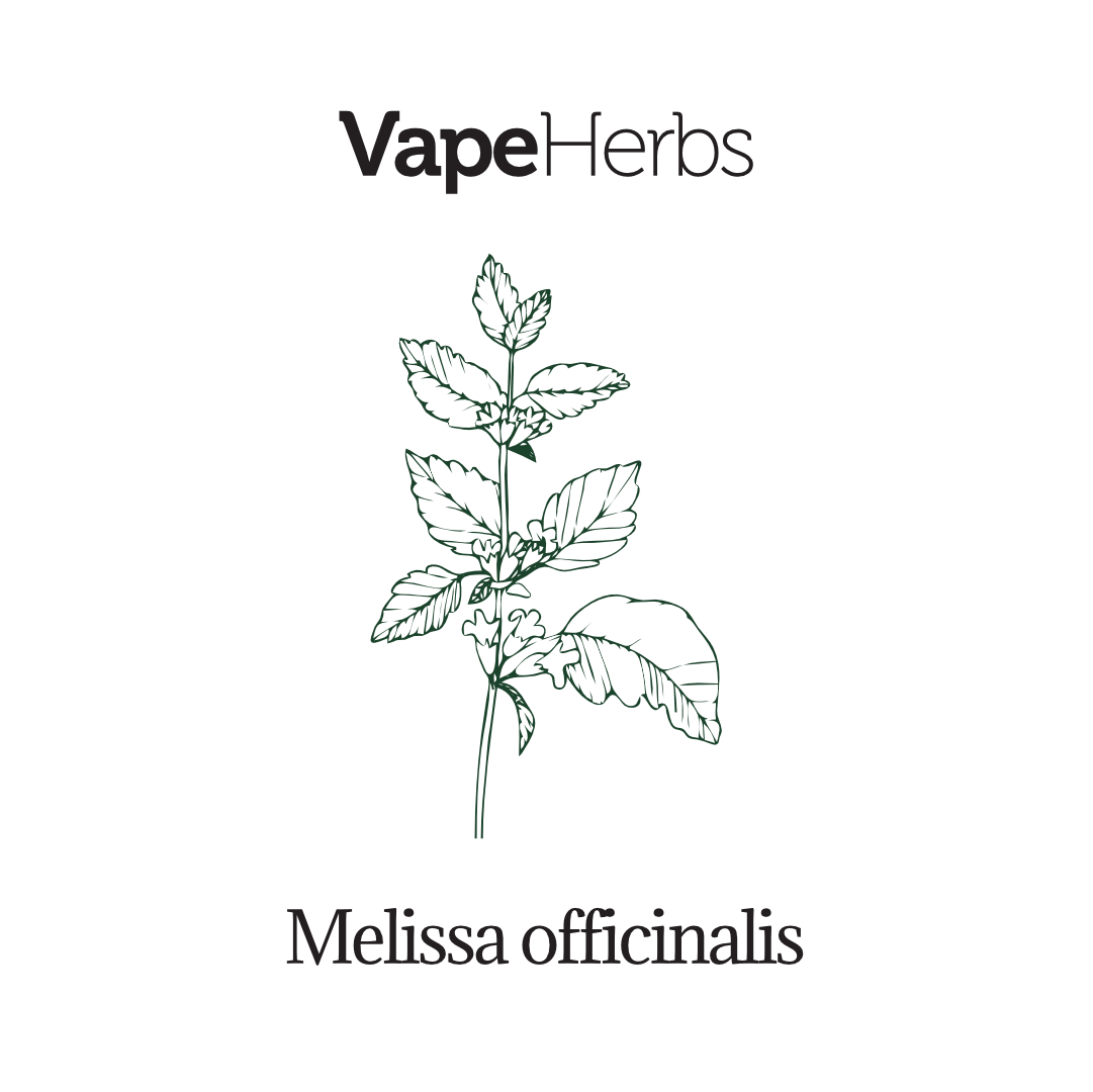 VapeHerbs – Melisse 30g