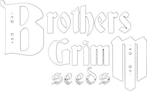 Rosetta Stone XX - Brothers Grimm Seeds