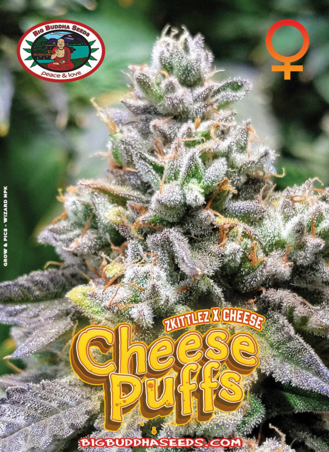 Cheese Puffs - Big Buddha Seeds