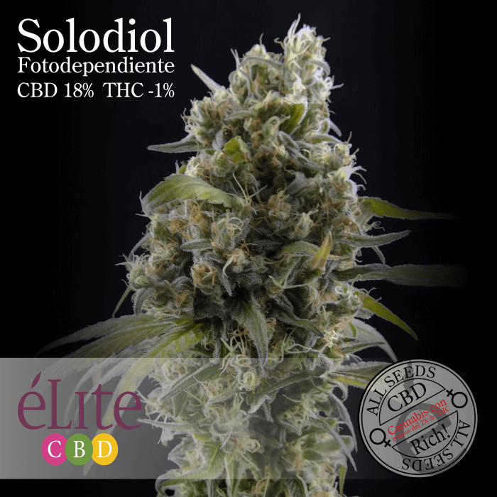 Solodiol CBD - élite Seeds