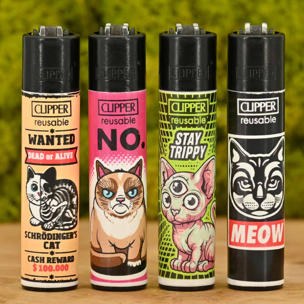 Clipper - Catz #3