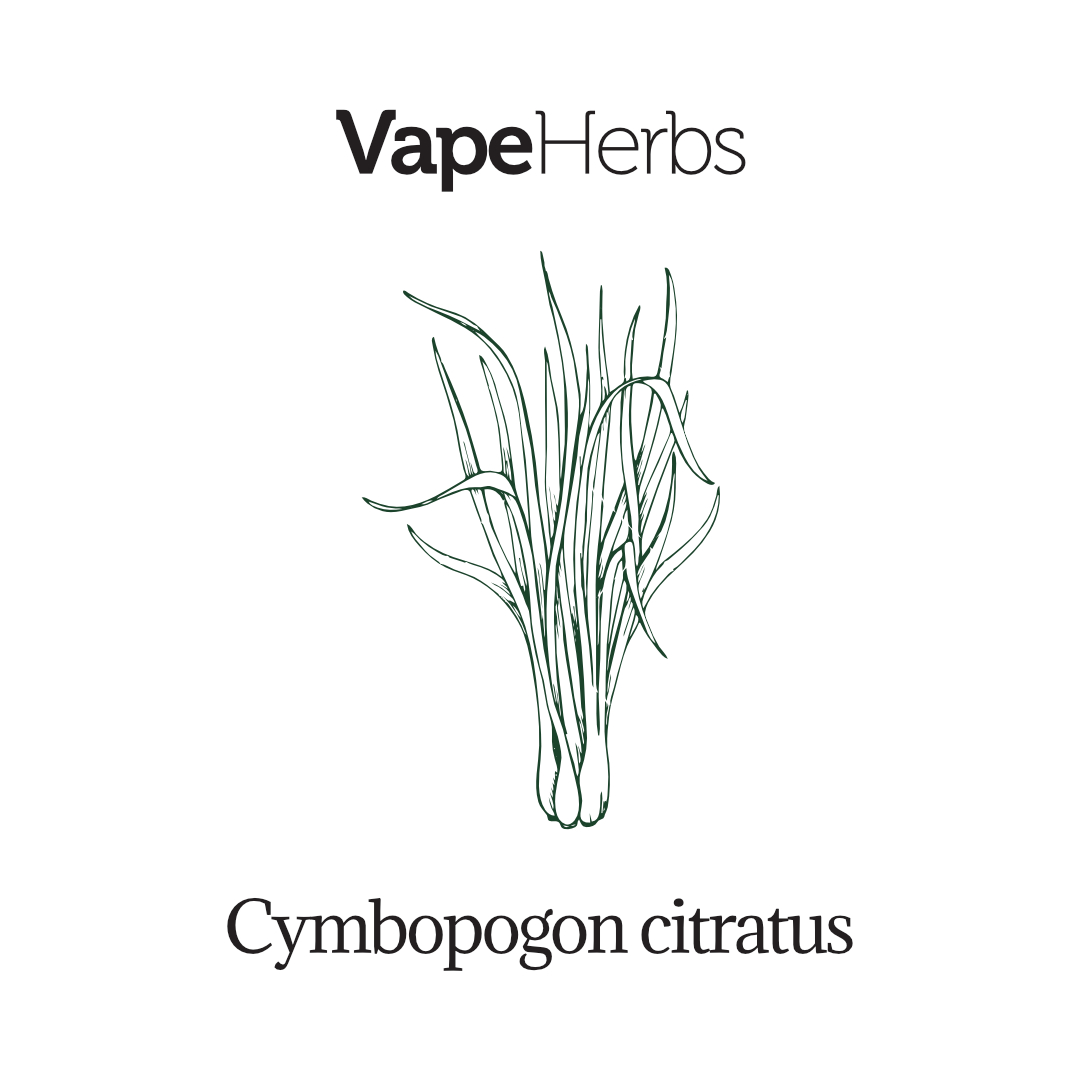 VapeHerbs – Zitronengras 30g