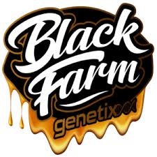 Glueberry - Black Farm Genetix