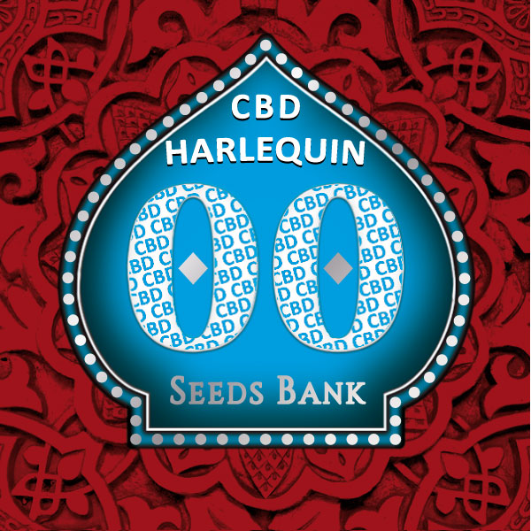 Harlequin CBD - 00 Seeds