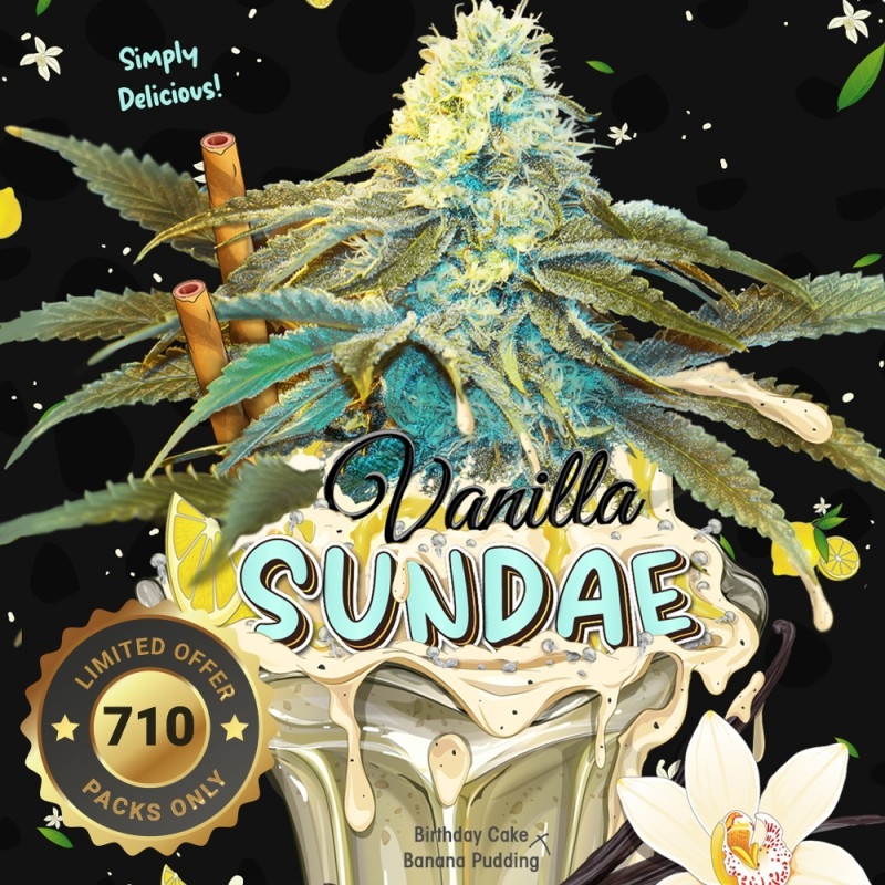 Vanilla Sundae Special Pack - T.H. Seeds