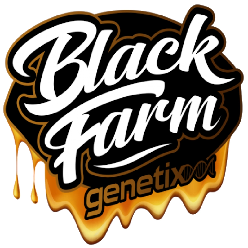 Frosted Acai - Black Farm Genetix