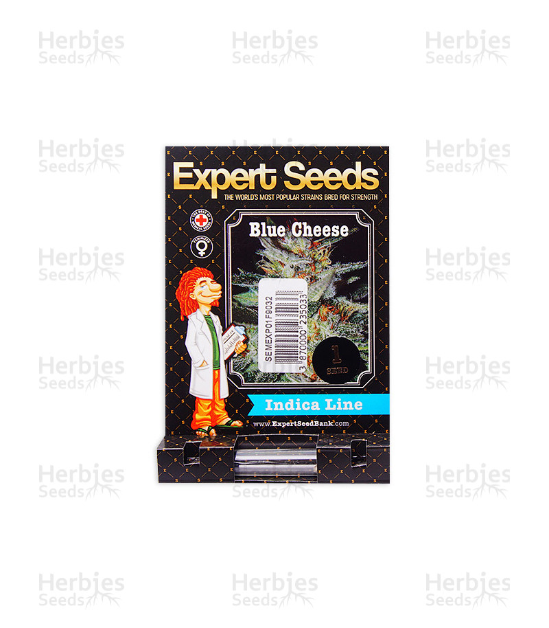 Blue Cheese (Expert Seeds) Cannabis-Samen