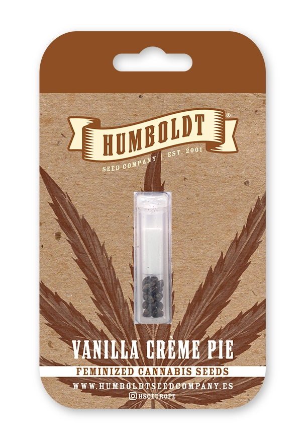 Vanilla Créme Pie - Humboldt Seeds Company