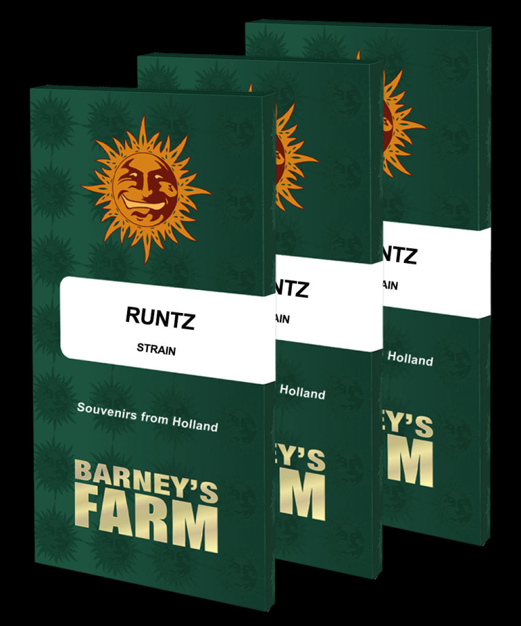 Runtz - Barney's Farm