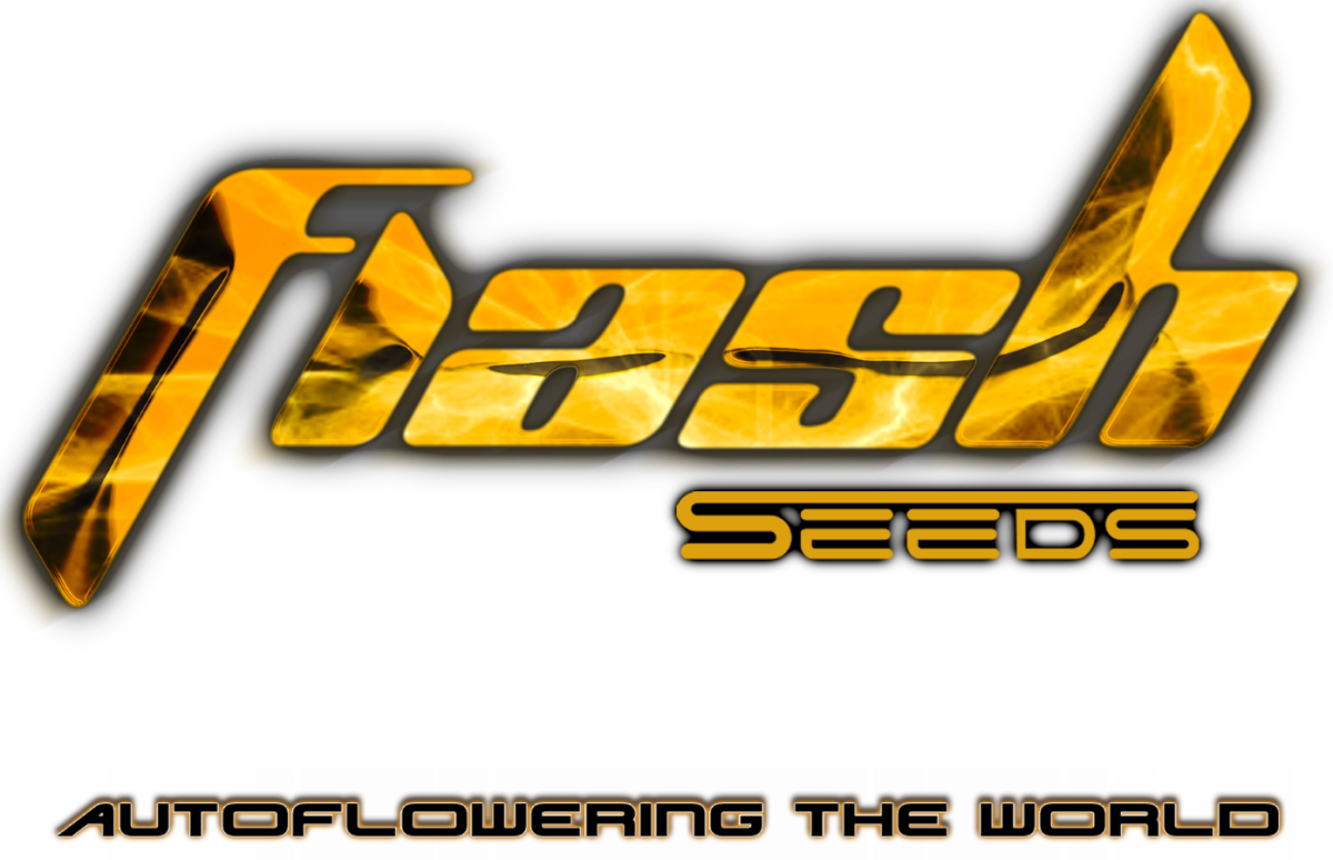 Kick Ass Zamal - Flash Seeds